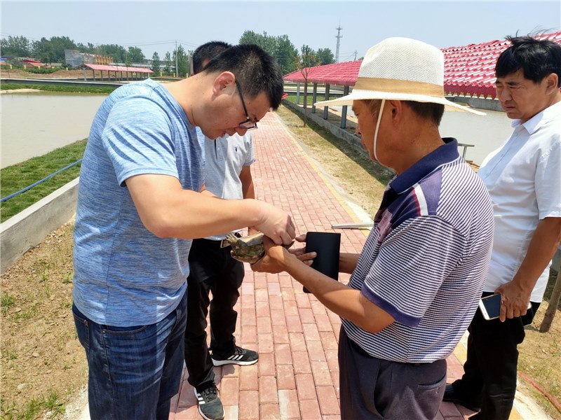 龟鹿养殖专家莅临龟鹿药业指导，源头助力三胶品质提升