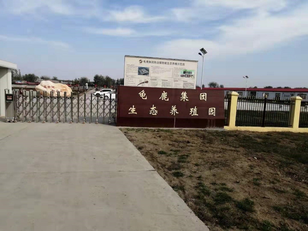 散养梅花鹿肉你吃过吗？这口感简直了！颜值爆表！营养高！