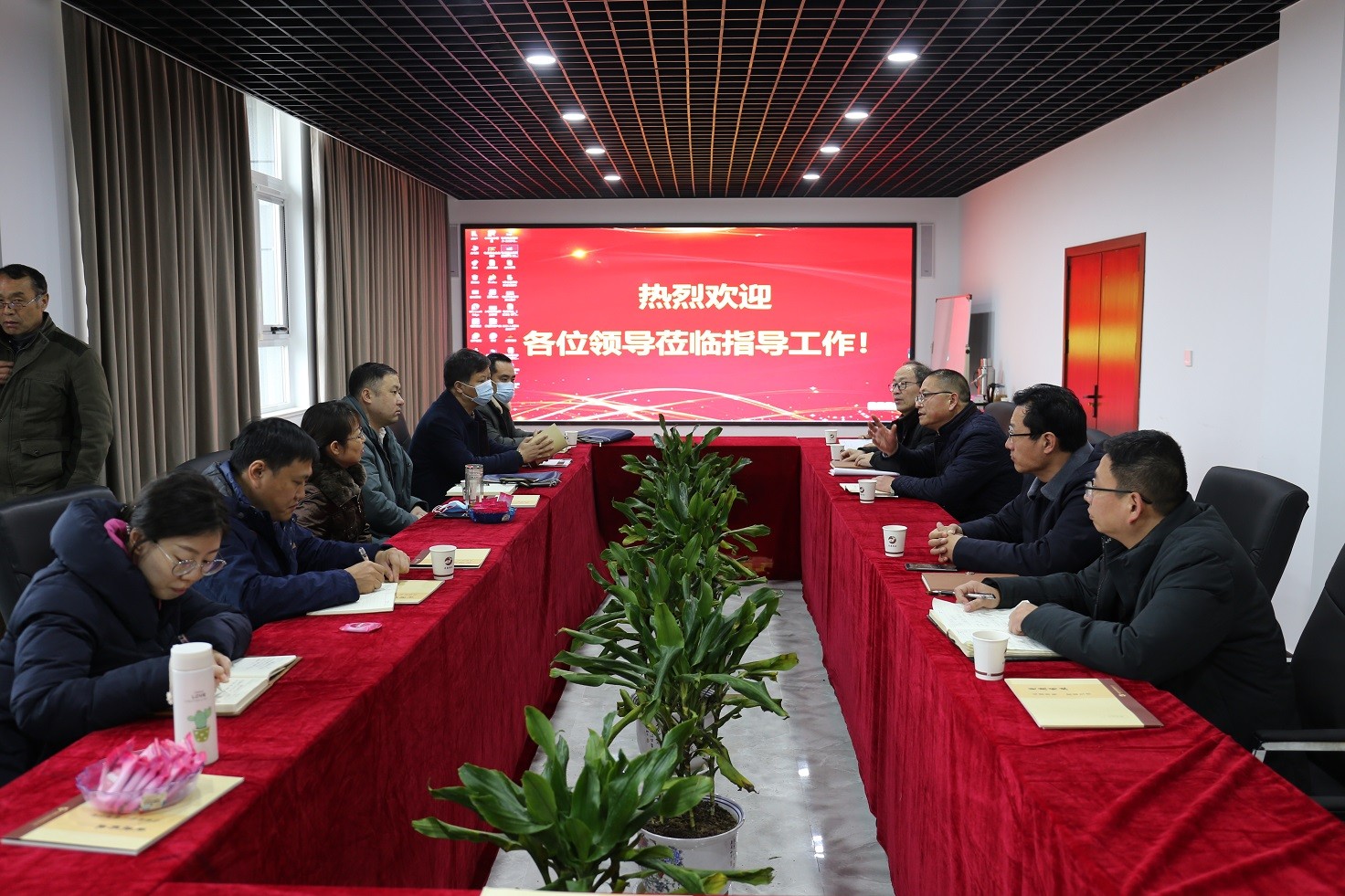 河南省药品监督管理局第九监管分局局长陈红一行莅临龟鹿药业集团调研