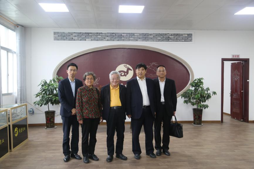 好雨知时节，当春乃发生丨中国中药协会专家莅临龟鹿药业参观指导