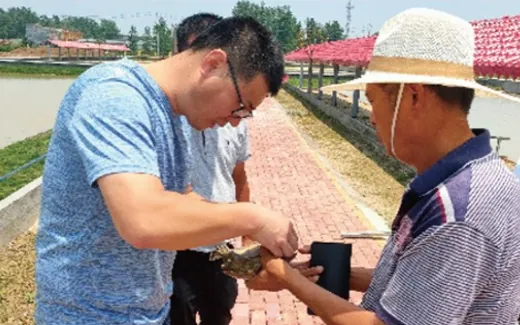 年存栏200万只中华草龟