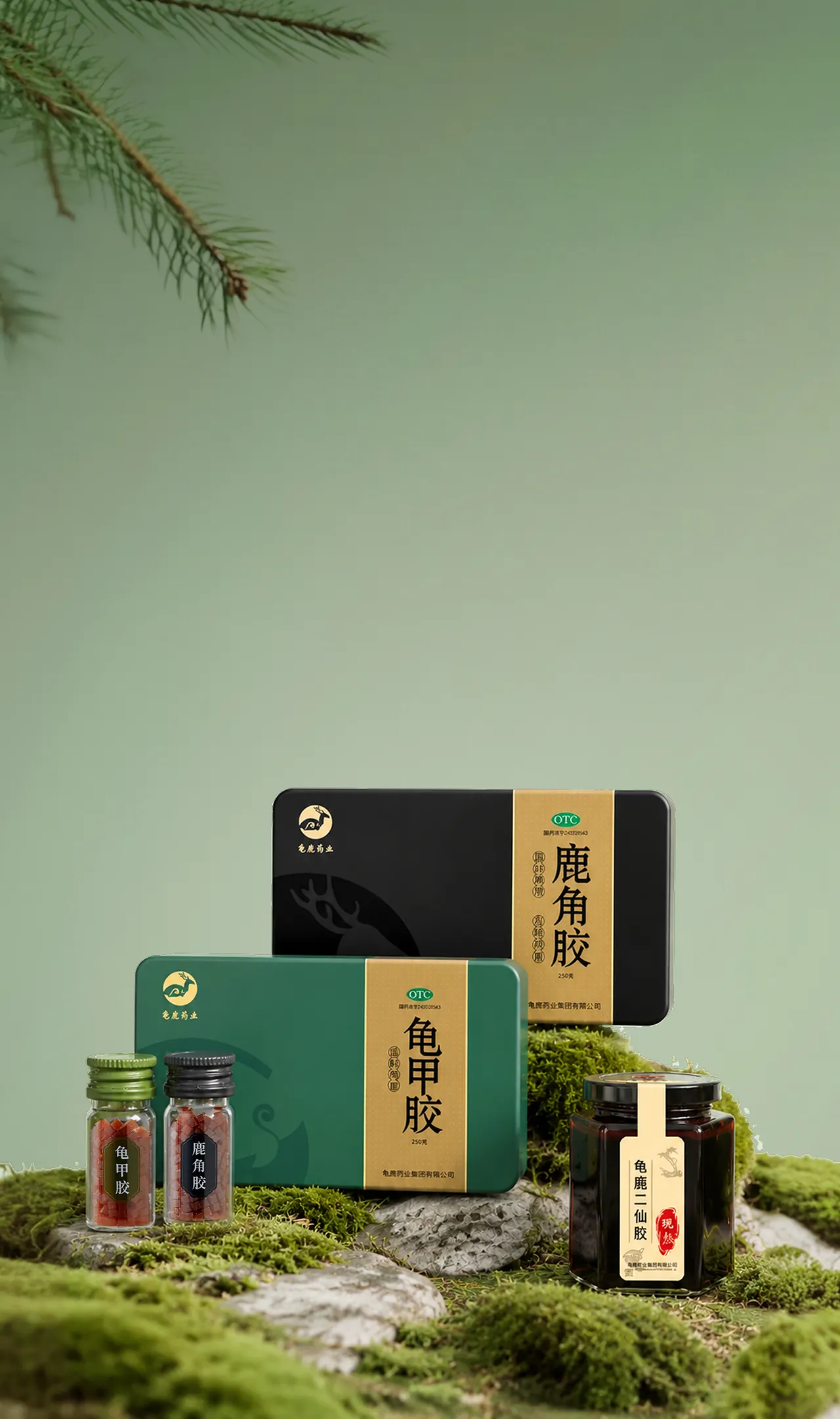 药品系列·专业治理