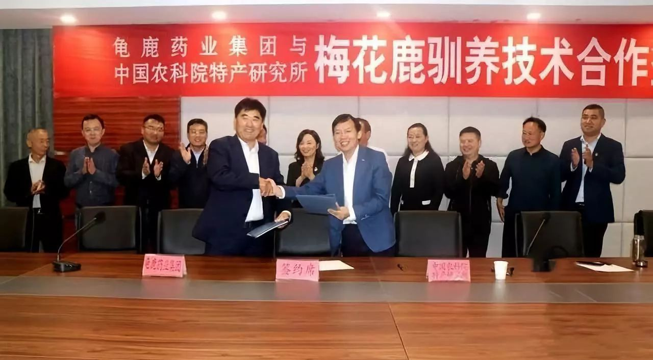 图片19.jpg