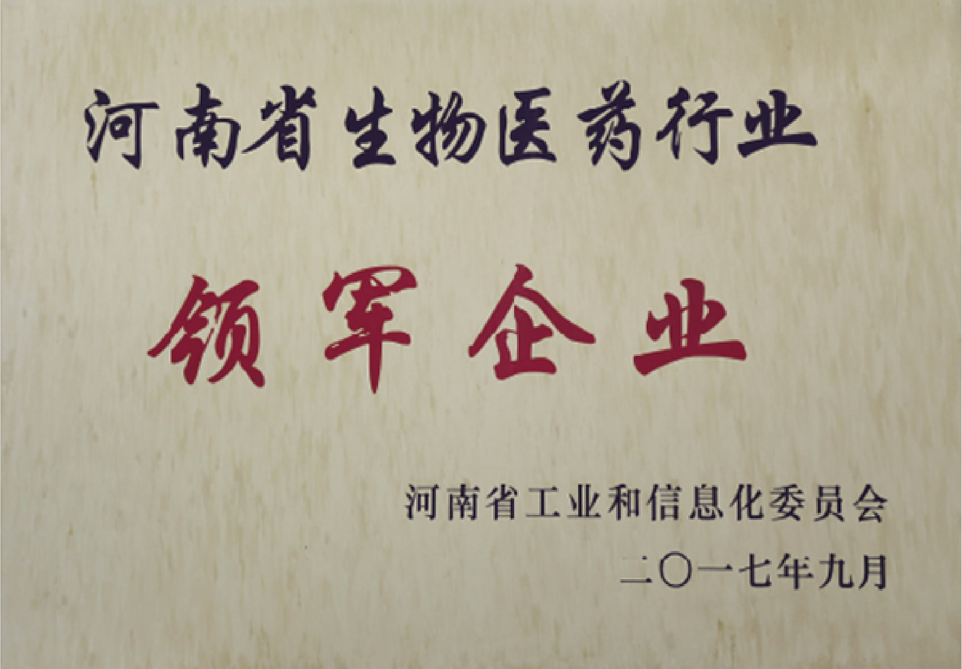领军企业