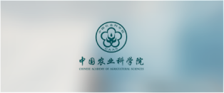 科技驱动  研发为先