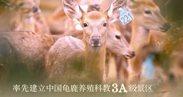 2019年