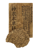 约1800前 · 秦汉《神农本草经》龟鹿并载上品