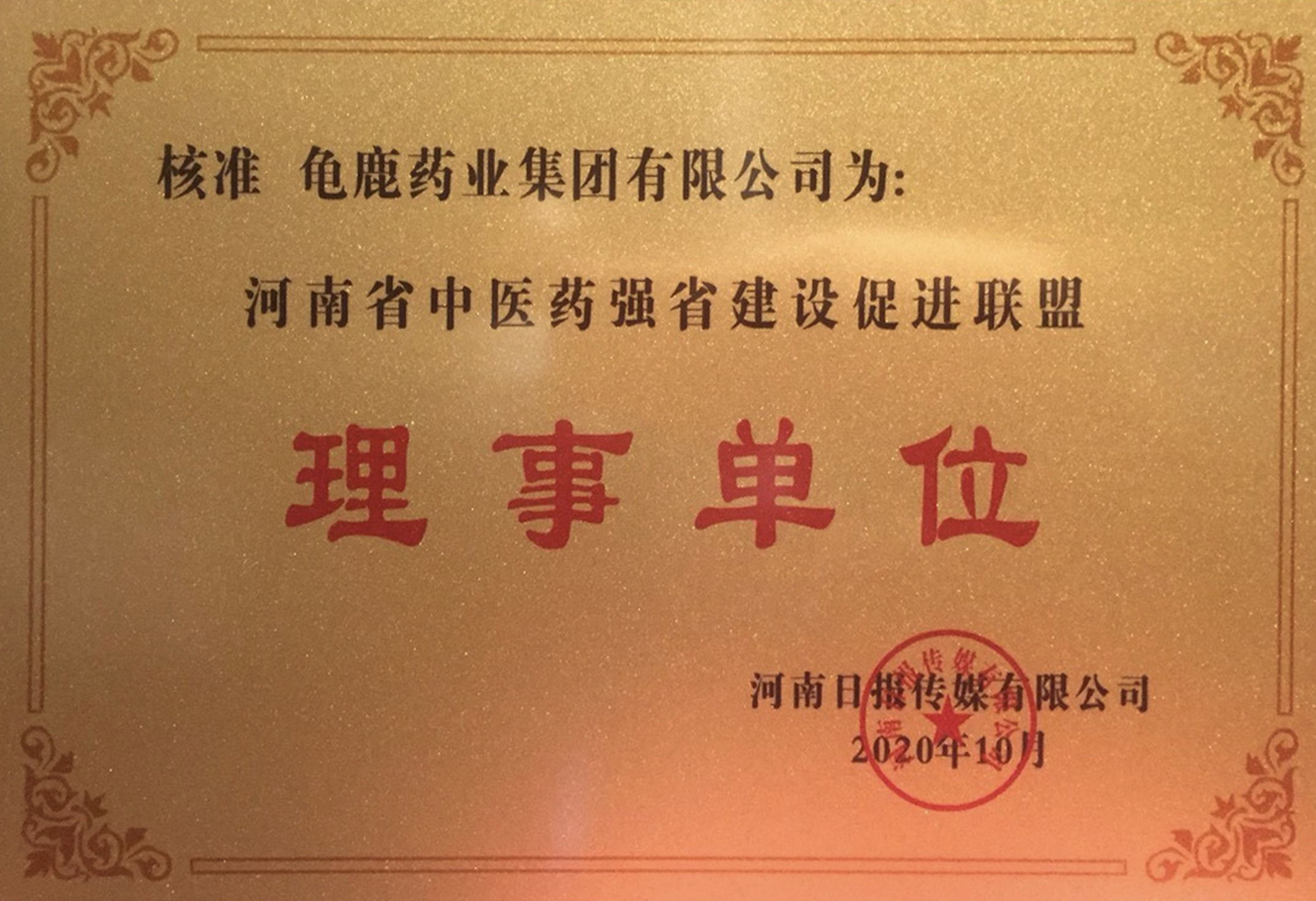河南省中医药强省建设促进联盟理事单位
