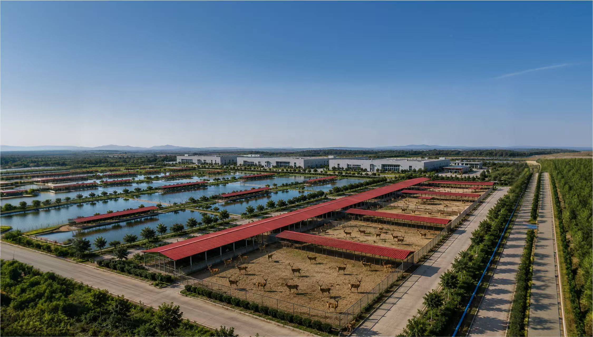 成为全省龟鹿特色养殖规模最大的企业