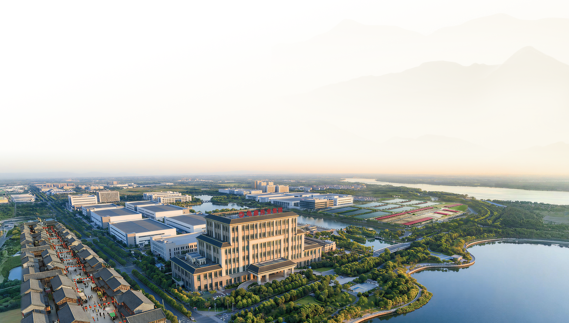 龟鹿药业集团