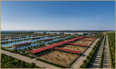 龟鹿育种养殖示范基地